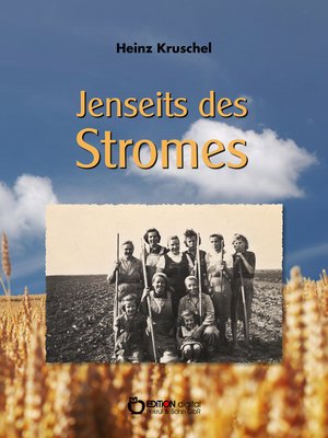cover image of Jenseits des Stromes